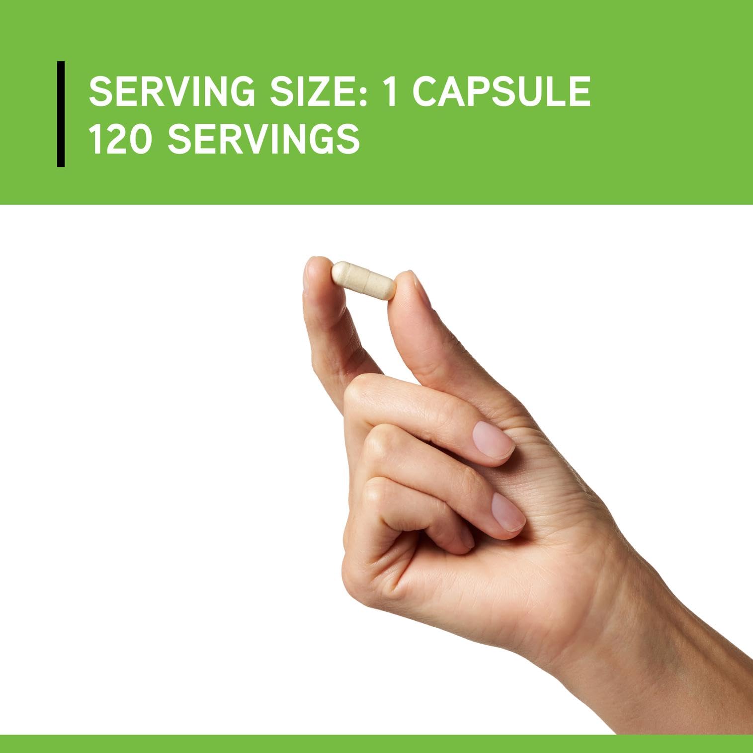 DAVINCI DIMPro versement en repas, démonstration d'ingestion avec les aliments.