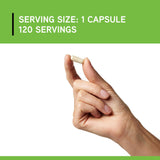 DAVINCI DIMPro versement en repas, démonstration d'ingestion avec les aliments.