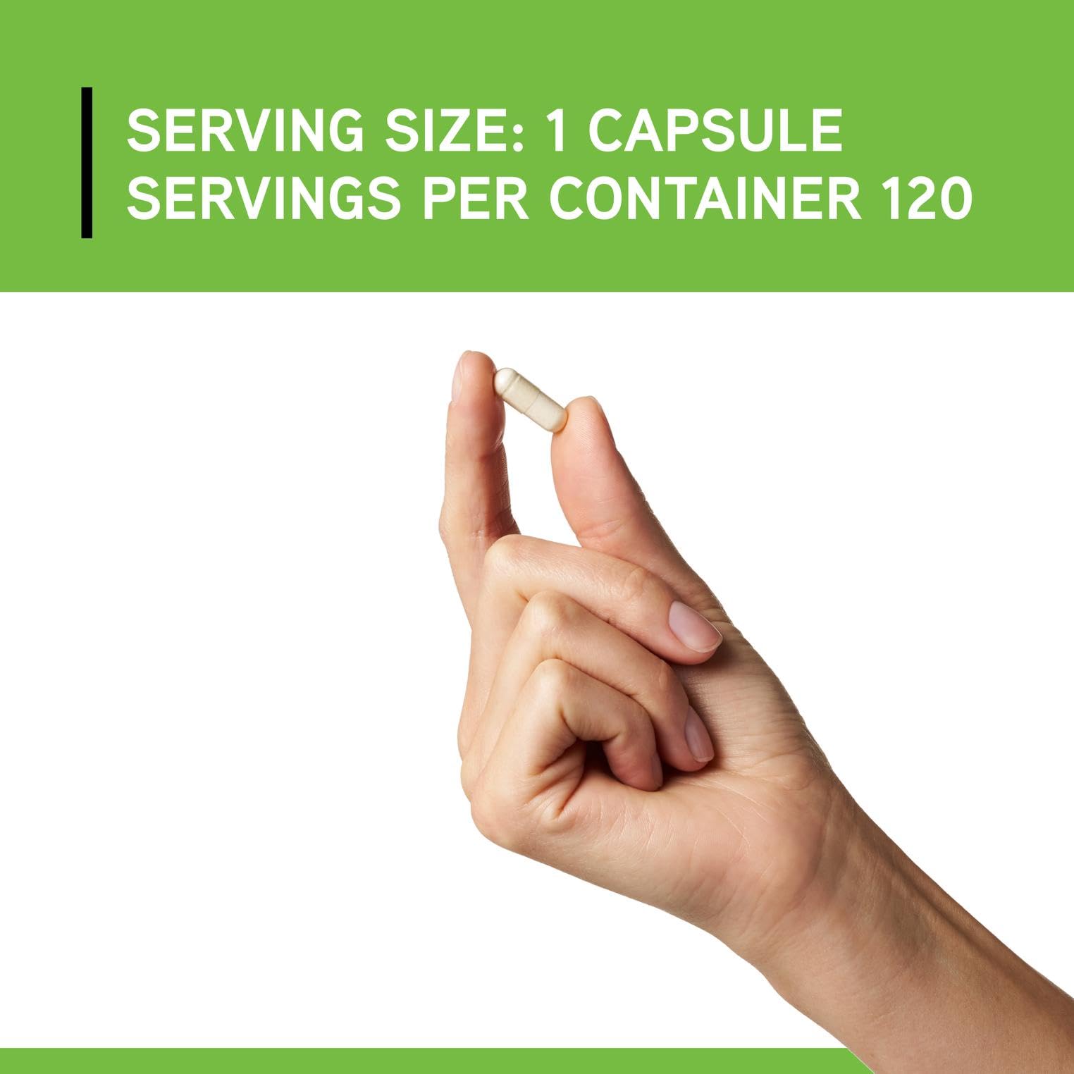 DAVINCI L-Theanine: espace d’étude calme pour une meilleure concentration