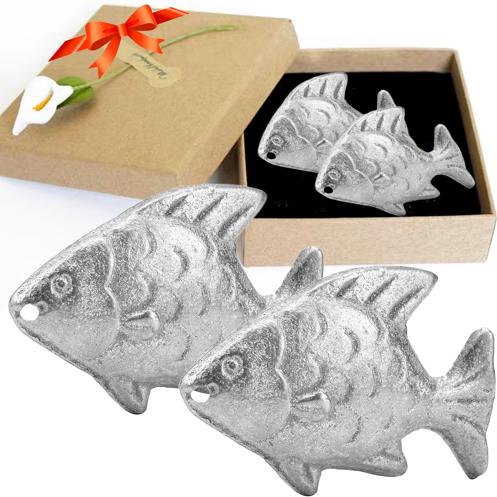 Daxiongmao poisson-fer pour cuisine, ensemble pratique pour infuser le fer pendant la cuisson.