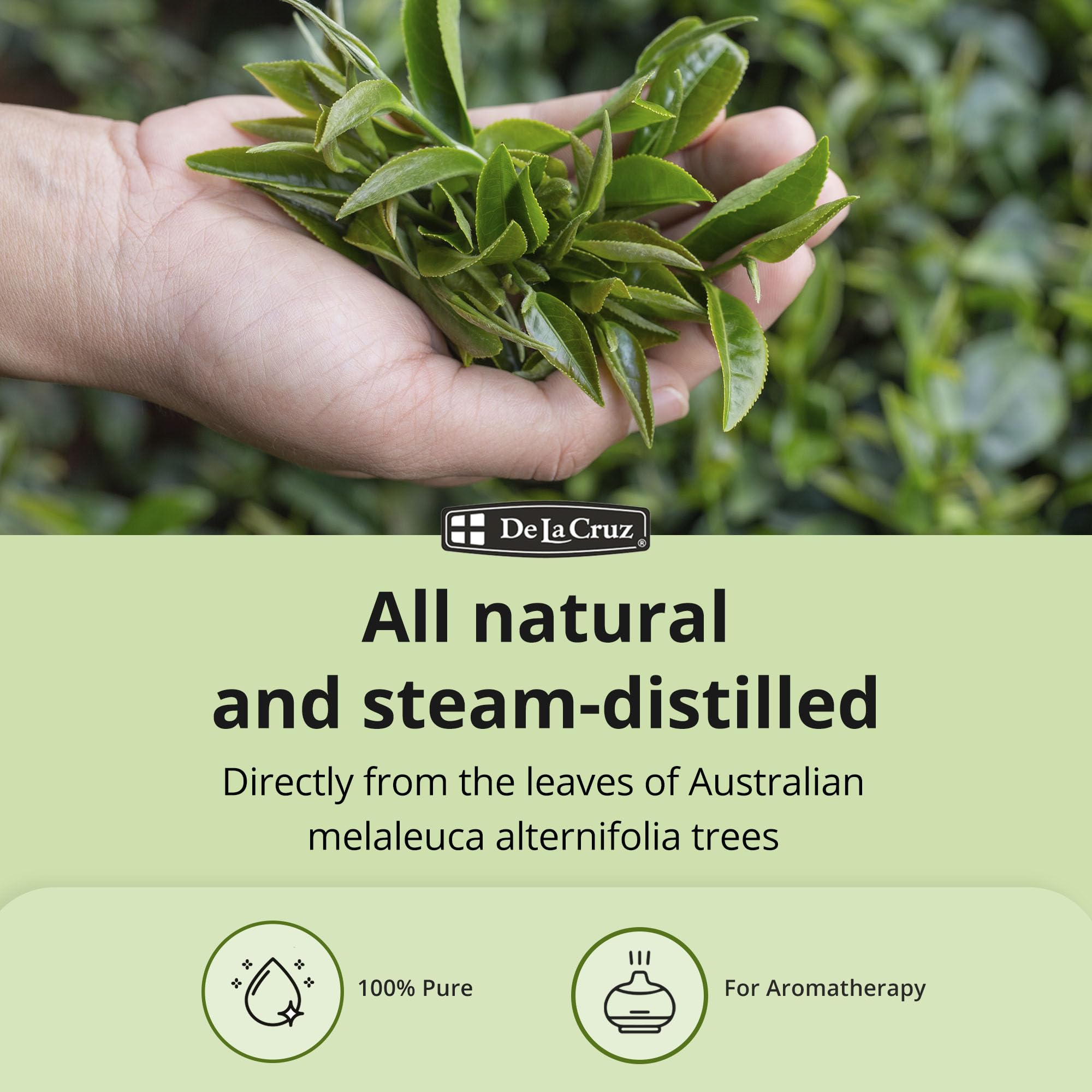 Gouttes Tea Tree De La Cruz — format pratique pour diffuser.