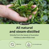 Gouttes Tea Tree De La Cruz — format pratique pour diffuser.