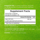 Capsules Alpha GPC 600 mg DEAL SUPPLEMENT – format pratique pour concentration et énergie mentale.