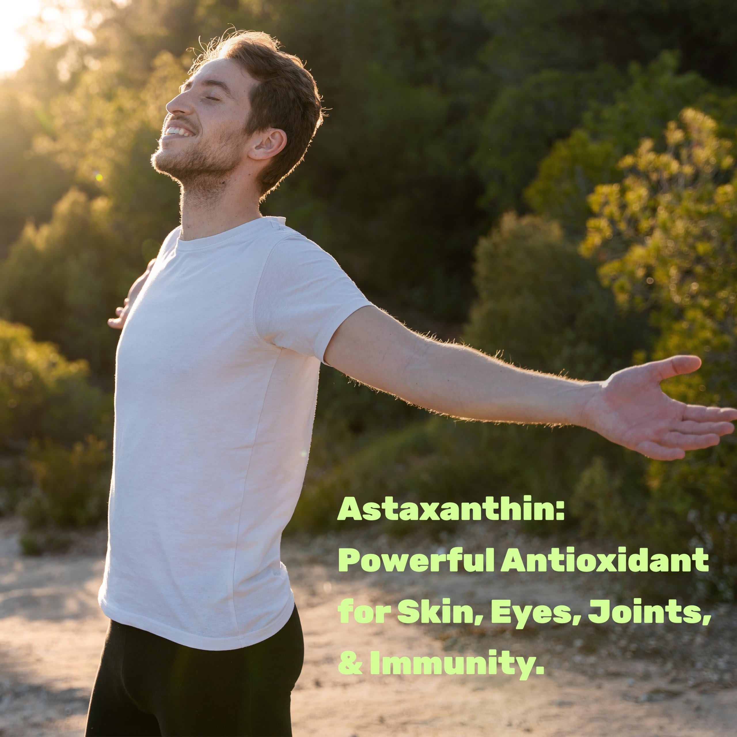 DEAL SUPPLEMENT Astaxanthin : tableau des ingrédients non-OGM et allergènes