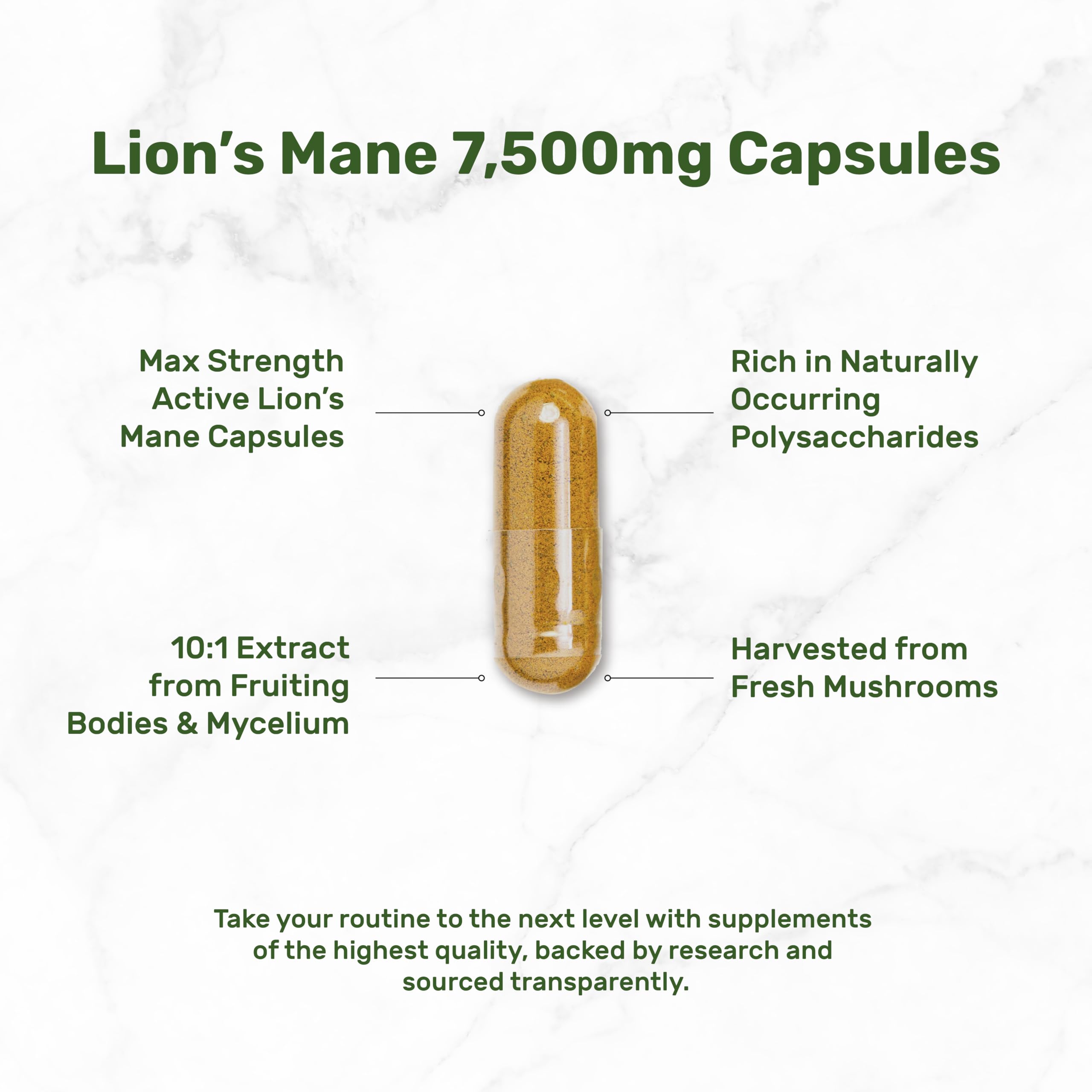 Deal Supplement: dosage crinière de lion – adapté pour une consommation régulière