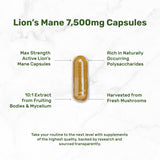 Deal Supplement: dosage crinière de lion – adapté pour une consommation régulière