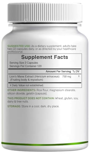 Deal Supplement: usage quotidien crinière de lion – peut soutenir la concentration