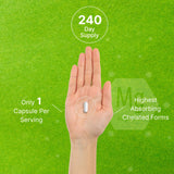 DEAL SUPPLEMENT Magnesium Complex — icônes sans OGM et sans allergènes — qualité assurée.