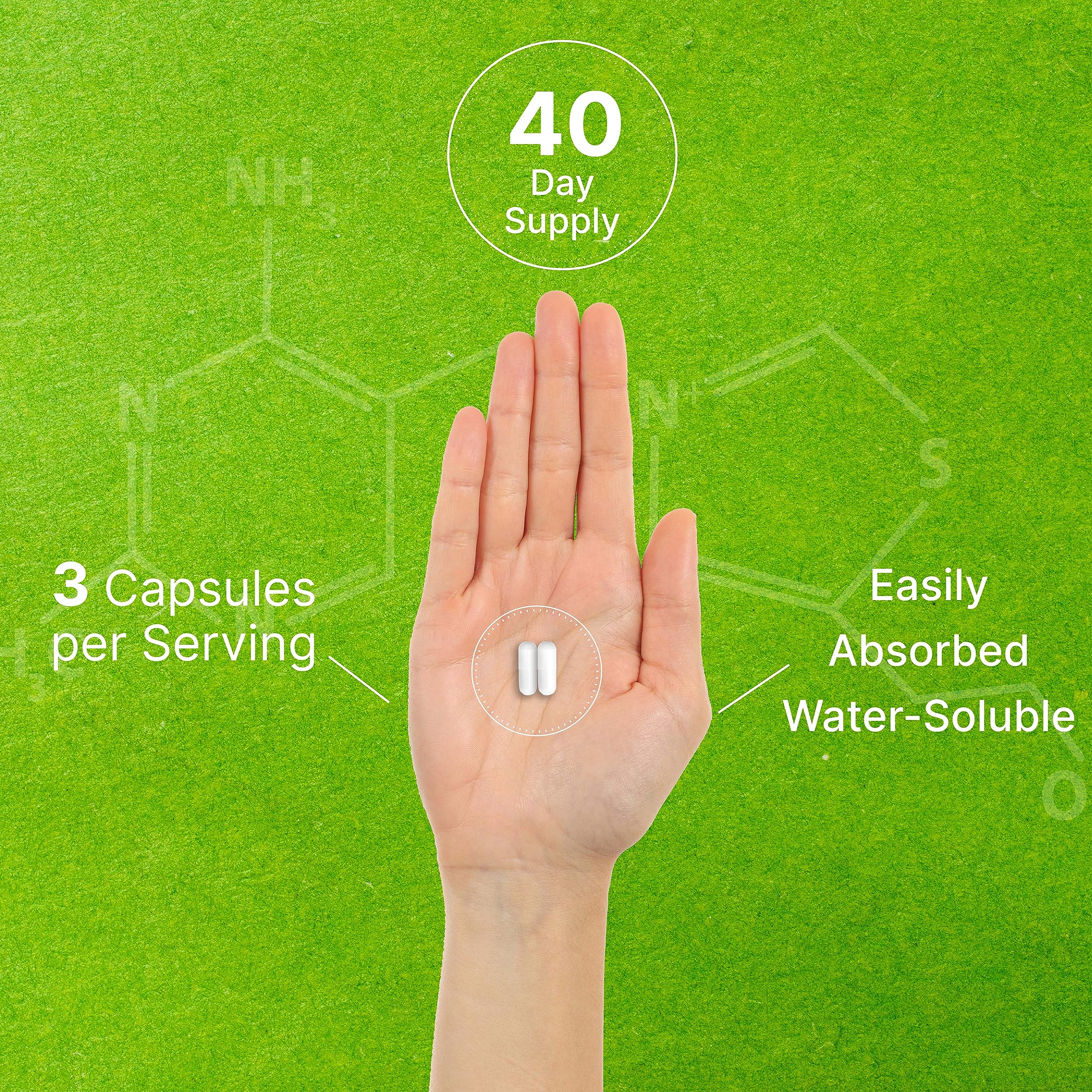 DEAL SUPPLEMENT Citicoline CDP Choline – étiquette et contrôle qualité, sans OGM.