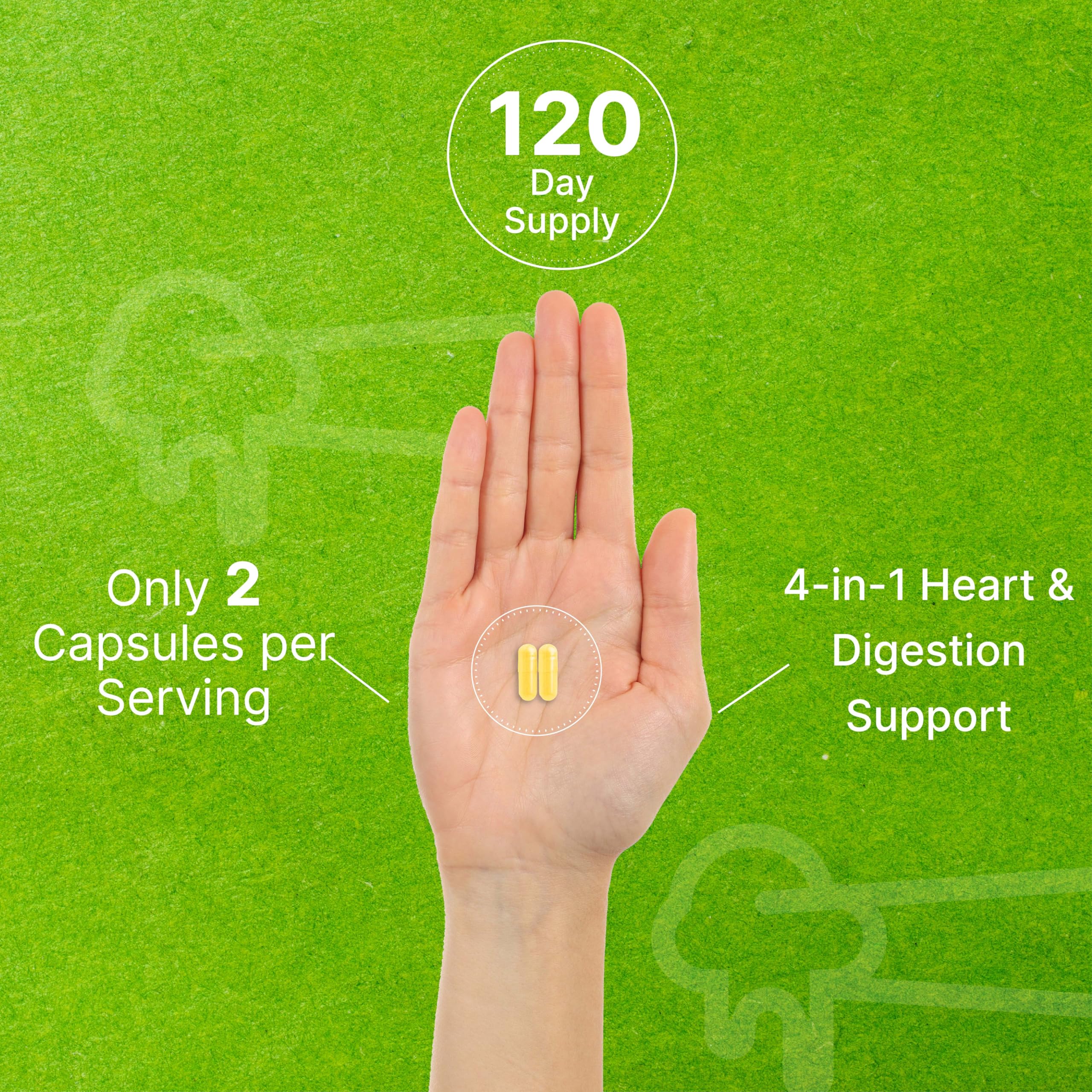 DEAL SUPPLEMENT Emballage Nattokinase: accès rapide à 2 capsules par prise.