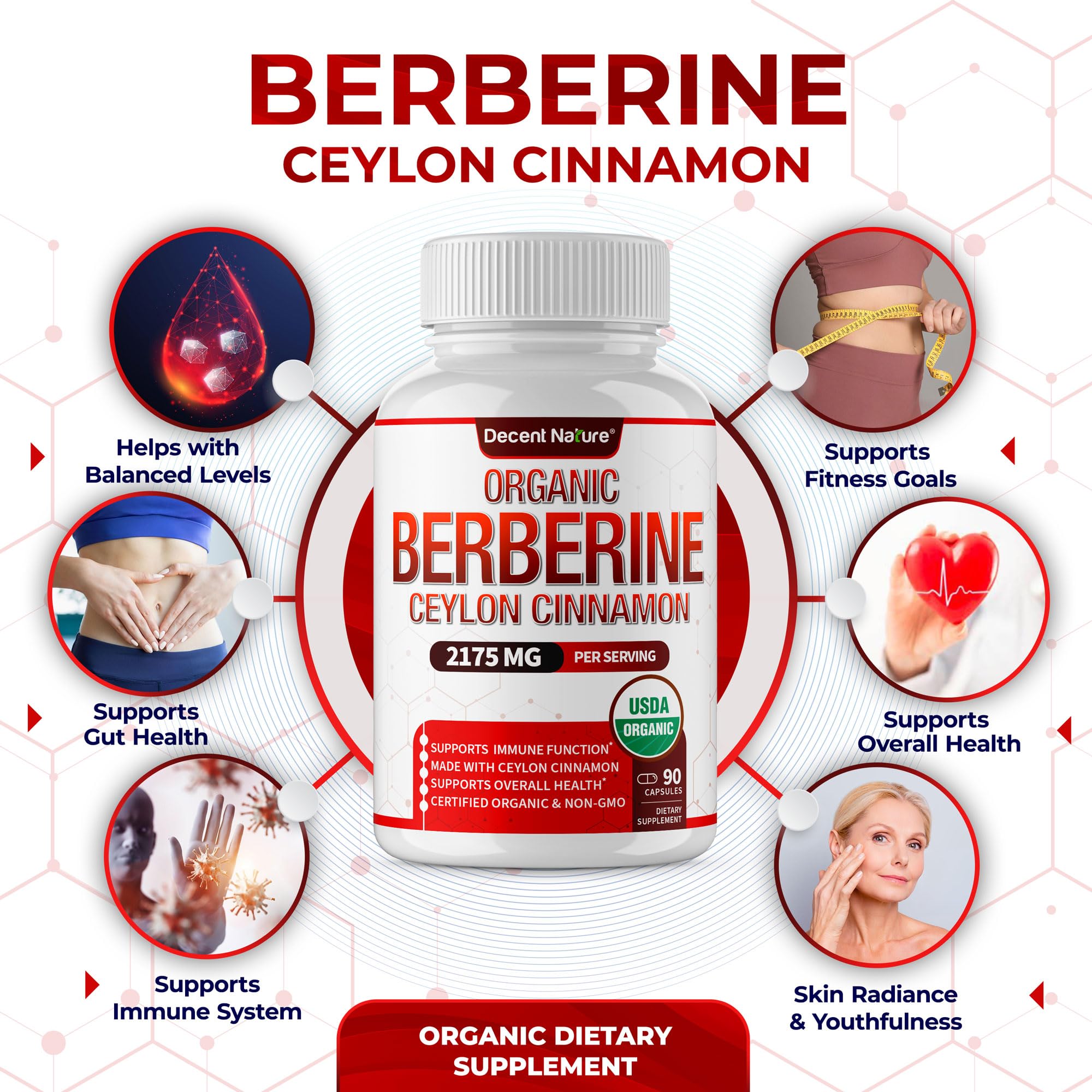 Bouteille DECENT NATURE Berberine-Cinnamon, format pratique.