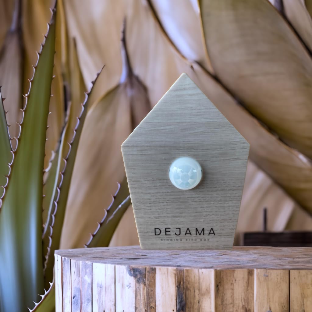 Design compact Dejama en bois naturel s'intègre parfaitement dans l'espace.