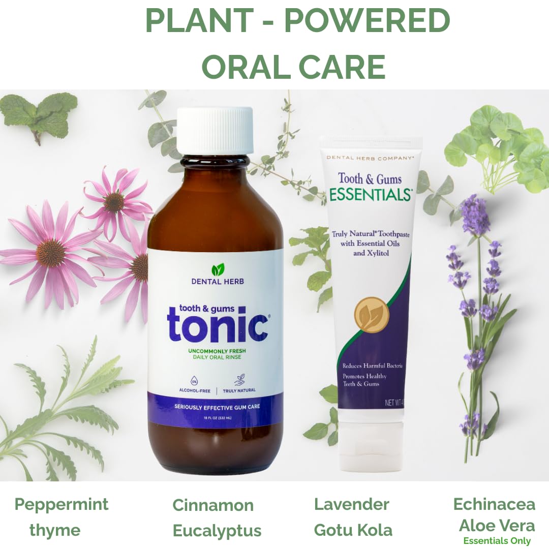 Dental Herb Company Tonique Dent-Gums – emballage clair présentant une routine naturelle.