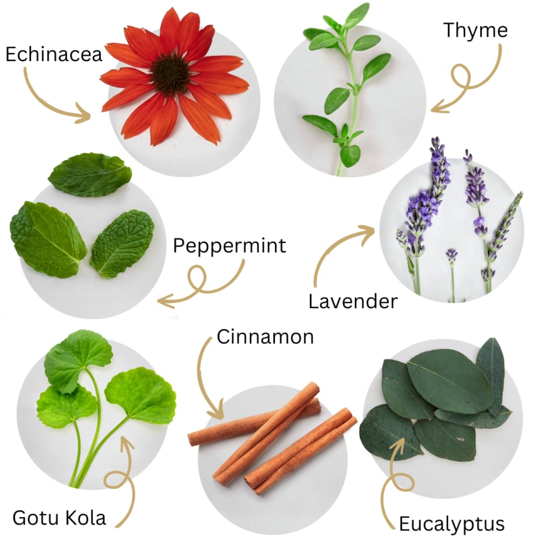 Emballage fabriqué aux États-Unis pour Dental Herb Company
