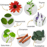 Emballage fabriqué aux États-Unis pour Dental Herb Company
