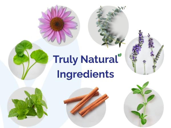 Utilisation quotidienne possible avec le tonique dents et gencives Dental Herb Company