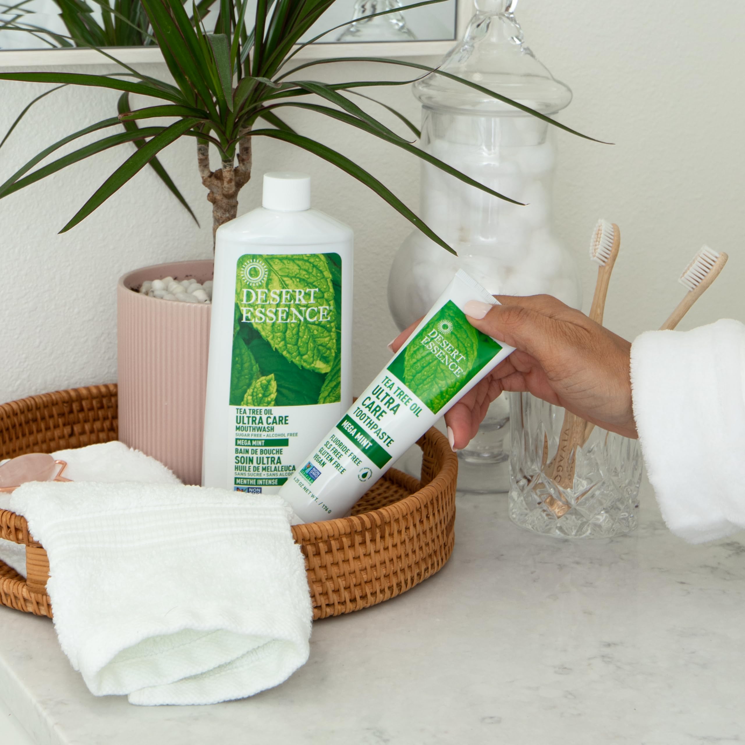 Desert Essence Mega Mint dentifrice sans fluor: dentifrice sûr pour une utilisation régulière