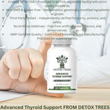 Detox Trees Thyroid Health Formula : Étiquette lisible et traçabilité rassurante.