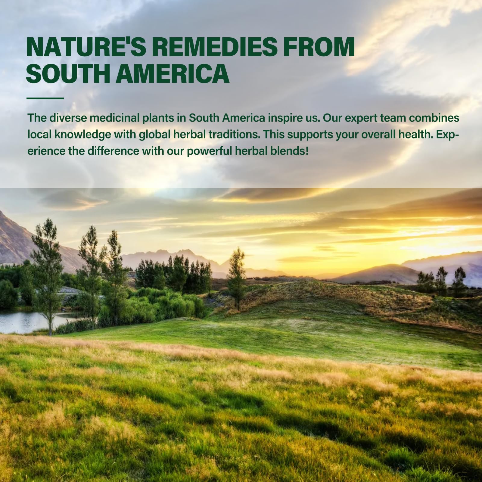DetoxenNATURE héritage botanique sud-américain dans une formule pure.