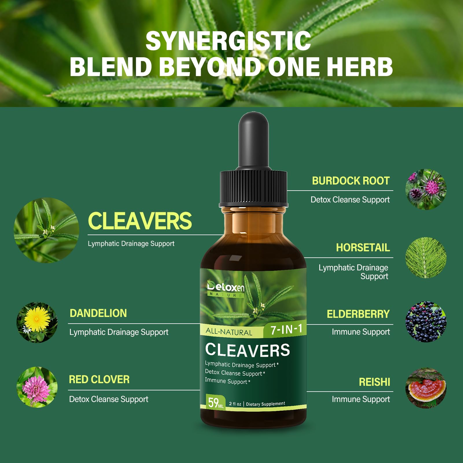 DetoxenNATURE pissenlit et queue-de-cheval pour detox naturel.