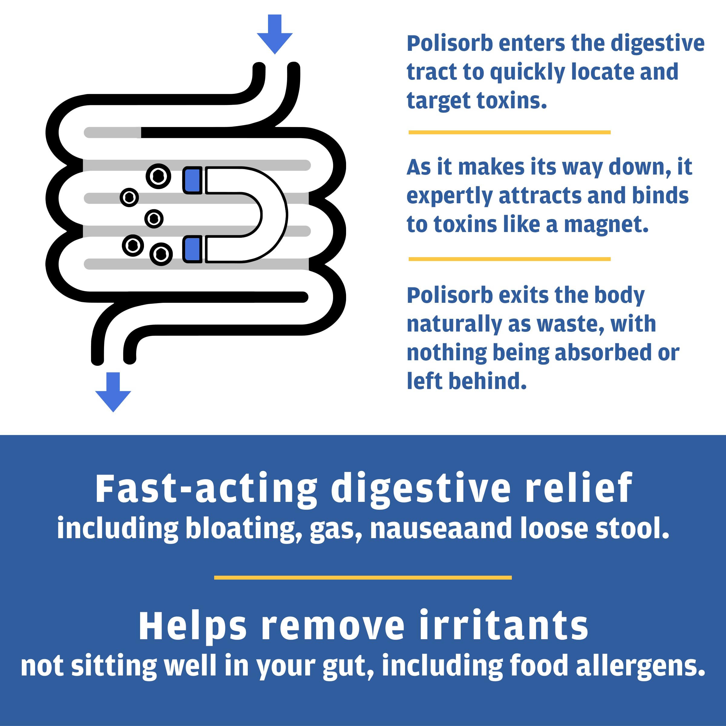 Detoxify Polisorb, cuillère de poudre, action rapide pour le confort digestif.