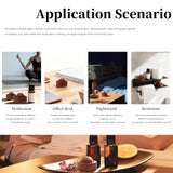 2Pcs Diffuseurs Bois Hêtre — usage en voiture pour aromathérapie légère.