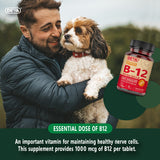 DEVA B12 avec acide folique et B6 – format pastille citron.