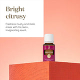 Diffuseur avec Purification en action pour une ambiance plus fraîche.