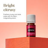 Diffuseur Purification ambiance, remplissant la pièce d'une fragrance rafraîchissante.