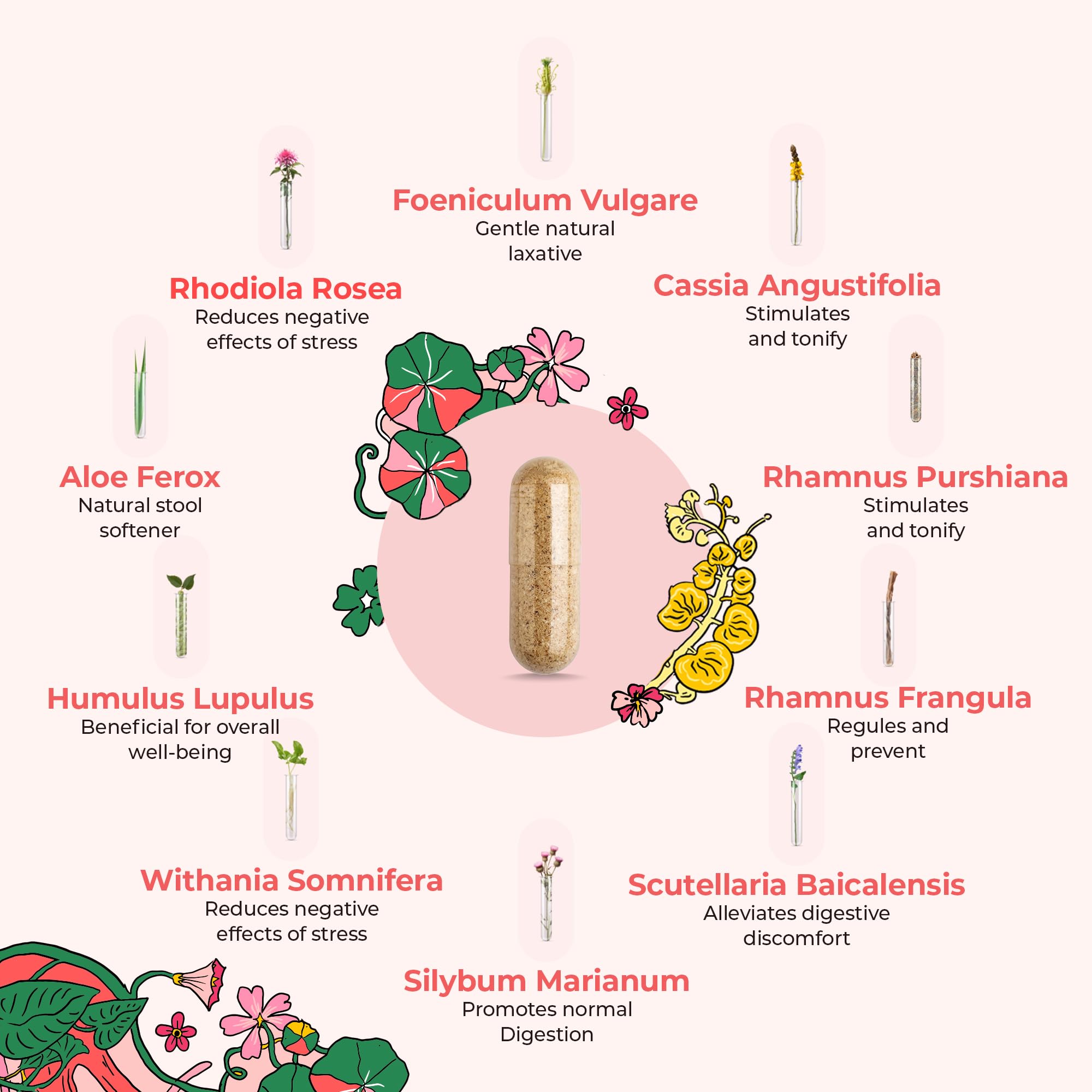 DigestLive : mélange d’herbes premium pour le confort digestif.