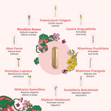 DigestLive : mélange d’herbes premium pour le confort digestif.