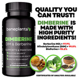 Dimberine : DIM et Berberine—capsules véganes pour un mode de vie actif.