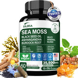 DLNIA mousse marine et ashwagandha en capsules pour énergie naturelle et vitalité.