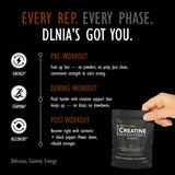 DLNIA Gommes Créatine Myrtille – sans sucre pour une utilisation quotidienne