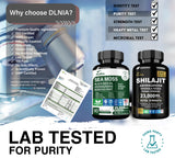 DLNIA huile gingembre nigelle: arôme stimulant et confort digestif potentiel.