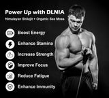 DLNIA laboratoire certifié: qualité vérifiée par des tiers.
