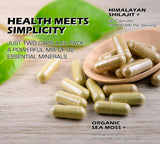 DLNIA Panax Ginseng gélules: vitalité et endurance journalière.