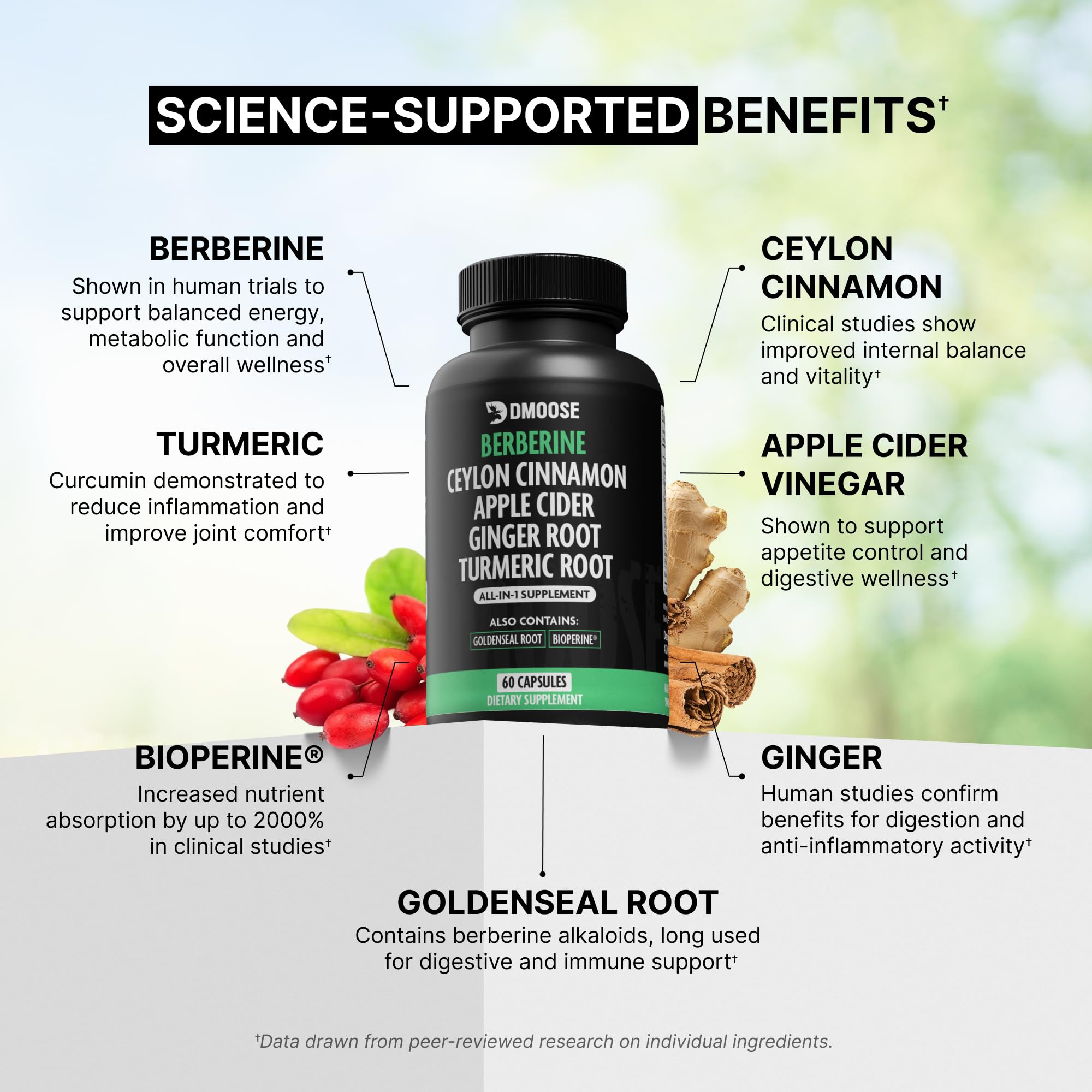 DMoose Fitness Berberine HCL gelules – bocal ouvert, prise facile au quotidien