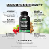 DMoose Fitness Berberine HCL gelules – bocal ouvert, prise facile au quotidien