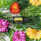 doTERRA Bergamot — gouttes huile essentielle, ajout facile au soin.
