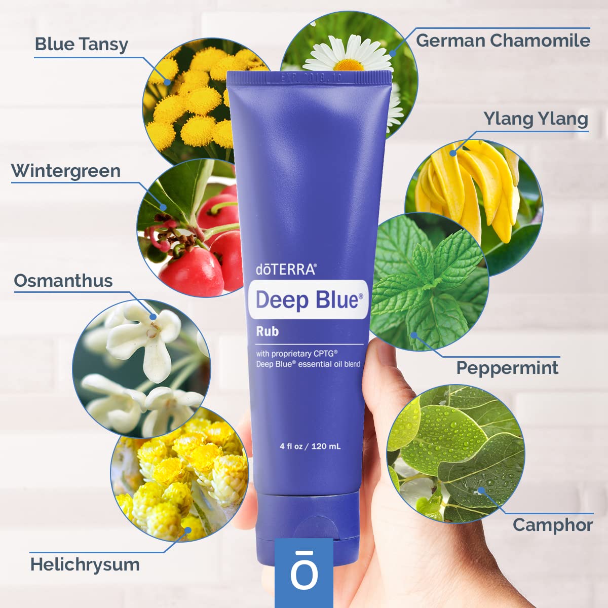 DoTERRA Deep Blue Rub : texture crème visible, facilité d'application et peau douce.