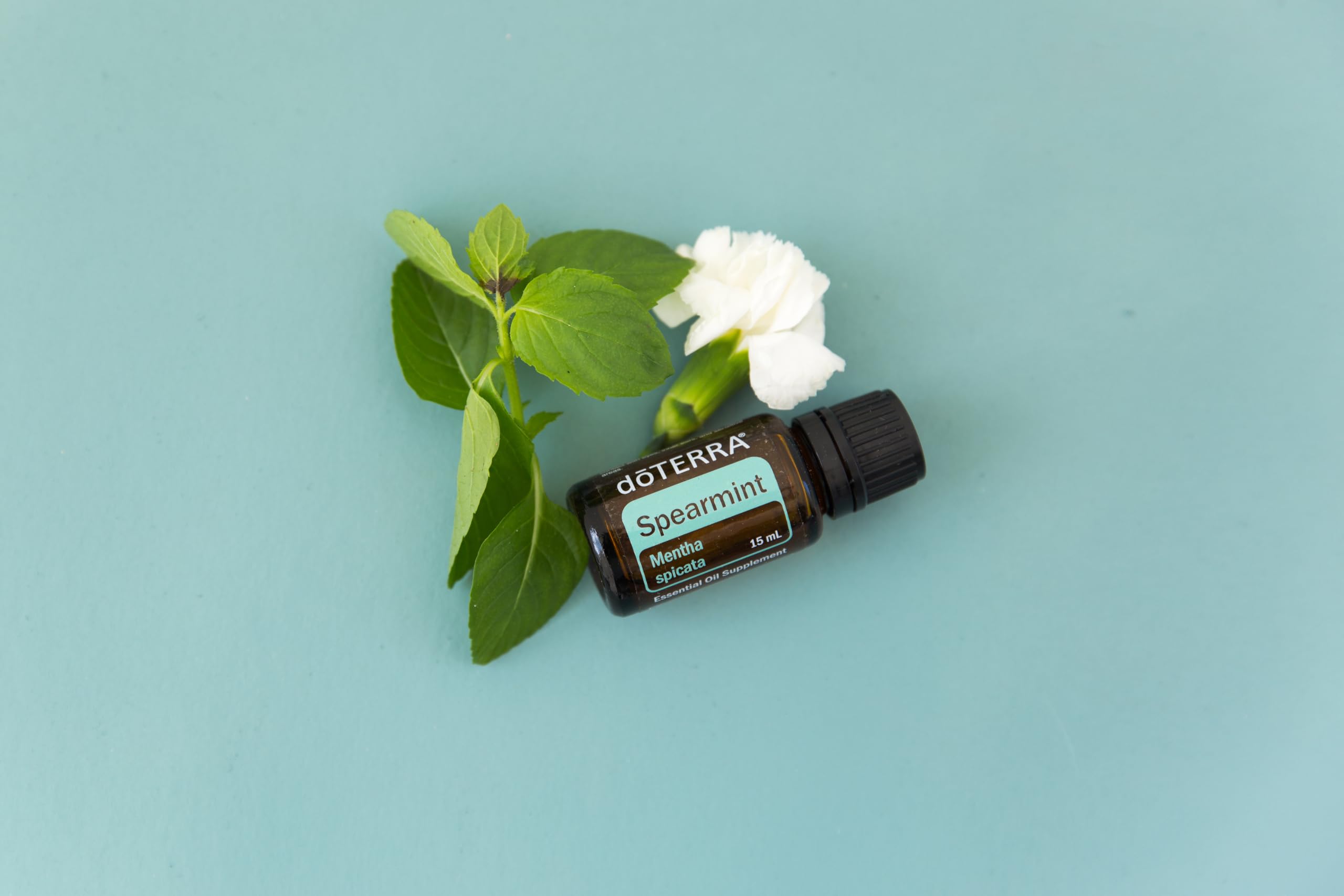 doTERRA Menthe Verte — arôme frais, diffusion vivifiante pour l'ambiance.