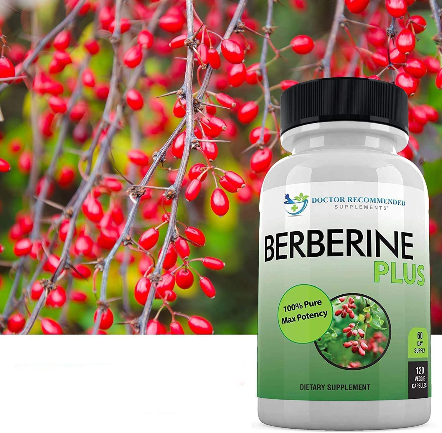 Berberine Plus — fabrication États‑Unis, laboratoire certifié, contrôle qualité.