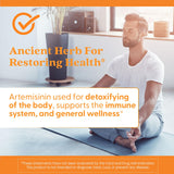 Routine quotidienne avec Doctor's Best Artemisinin dans votre sac.