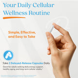 Doctor's Best NMN étiquette nutritionnelle claire – informations utiles.