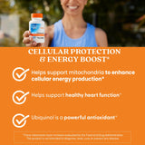 Doctor's Best Ubiquinol cœur: illustration montrant le soutien potentiel au système cardiovasculaire.