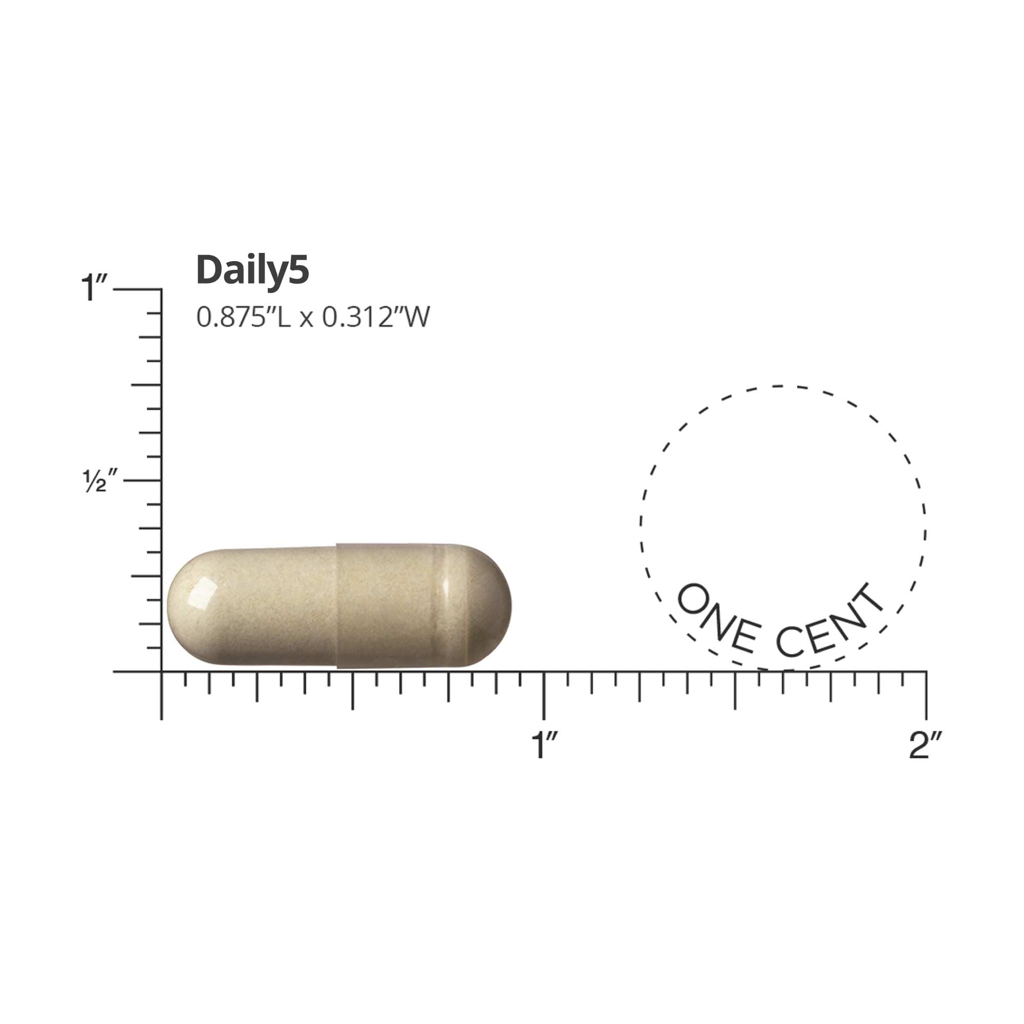 CoQ10 dans DOCTORS' PREFERRED Daily5 pour énergie et métabolisme.