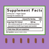 Doctor's Recipes Extrait de pépins de raisin – capsules faciles à avaler pour une routine