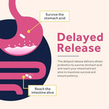 Doctor's Recipes Probiotiques – prebiotiques et enzymes: synergie digestive.
