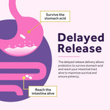 Doctor's Recipes Probiotiques femmes - lactobacillus reuteri, soutien potentiel à l'équilibre utérin.